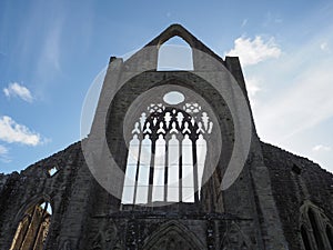 Tintern Abbey (Abaty Tyndyrn) in Tintern