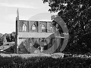 Tintern Abbey (Abaty Tyndyrn) in Tintern, black and white