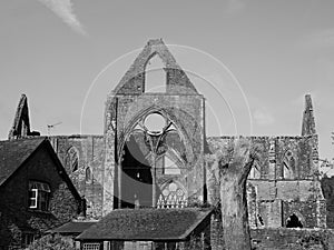 Tintern Abbey (Abaty Tyndyrn) in Tintern, black and white