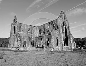 Tintern Abbey (Abaty Tyndyrn) in Tintern, black and white