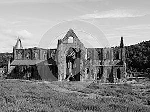 Tintern Abbey (Abaty Tyndyrn) in Tintern, black and white