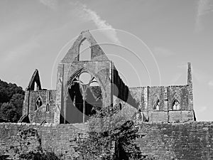 Tintern Abbey (Abaty Tyndyrn) in Tintern, black and white