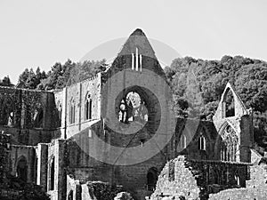 Tintern Abbey (Abaty Tyndyrn) in Tintern, black and white