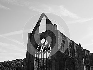 Tintern Abbey (Abaty Tyndyrn) in Tintern, black and white