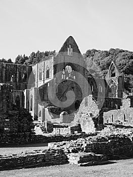 Tintern Abbey (Abaty Tyndyrn) in Tintern, black and white