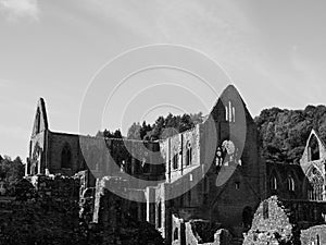 Tintern Abbey (Abaty Tyndyrn) in Tintern, black and white