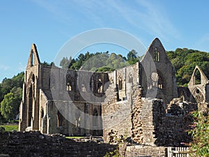 Tintern Abbey (Abaty Tyndyrn) in Tintern