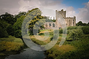 Tintern Abbey. county Wexford. Ireland.