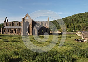 Tintern Abbey landscape photo