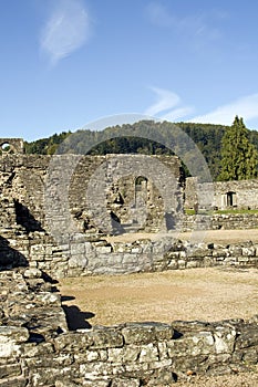 Tintern abbey monmouthshire
