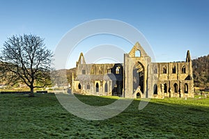 Tintern Abbey in Monmouthshire