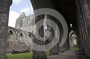 Tintern Abbey Nave in Wales