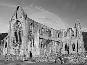 Tintern Abbey, Wales photo