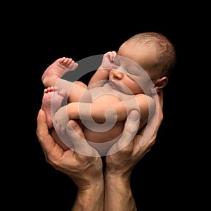 Tiny baby in father`s hands