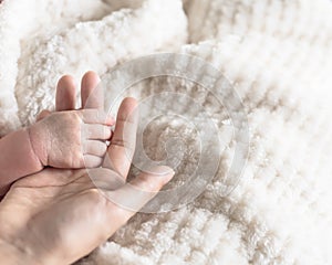 Tiny baby hand in her mother palm for love and protection concept