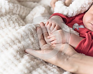 Tiny baby hand in her mother palm for love and protection concept