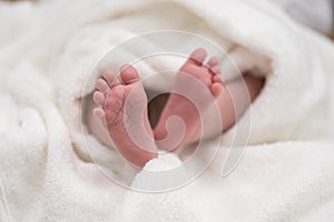 Tiny baby legs of a newborn wrapped in a blanket. Close up