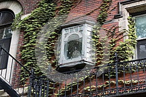Tiny bay window on the exterior of a vine covered brownstone