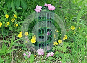 Tiny beautiful wardrobe or closet from dollhouse with magic ogjects of fairy and crystals outside in the garden among flowers