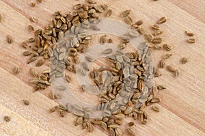 Tiny Carrot Seeds on Wooden Background