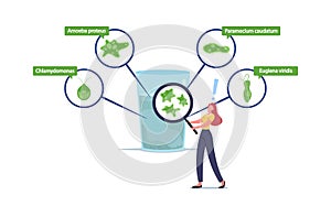 Tiny Character with Magnifier Look inside of Huge Water Glass with Protozoa Unicellular Amoeba Proteus, Chlamydomonas