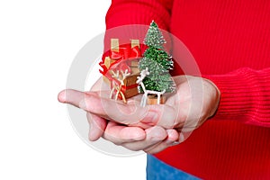 Tiny Christmas Tree with Reindeers and Gift Boxes in Hands