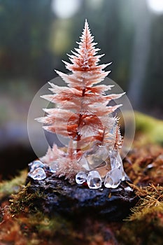 a tiny Christmas tree toy with decoration in forest, New Year\'s holidays, winter season
