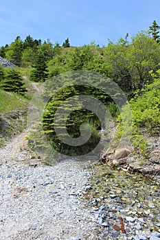 A tiny clear stream running down Marble Mountain onto the beach on Cape Breton Island