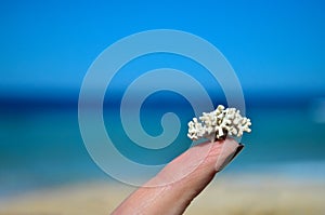 Tiny coral on one finger