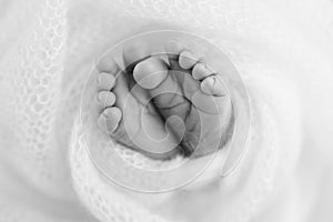 tiny, cute, bare toes, heels and feet of a newborn girl, boy. Baby foot on soft coverlet, blanket.