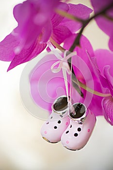 Tiny decorative collectible shoes photo