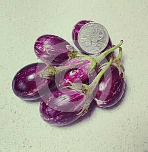 Tiny eggplants