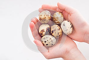 Tiny eggs in child's hands