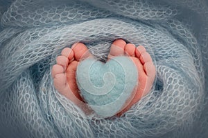 The tiny feet of a newborn baby. Soft feet of a new born in a blue blanket. Knitted blue heart in the legs of a baby