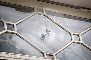 tiny figure of angel is always in window of tenant of apartment