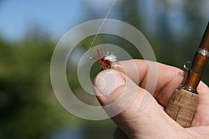 Tiny fishing fly