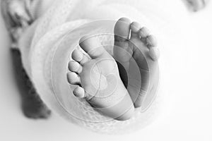 The tiny foot of a newborn baby. Soft feet of a new born in a blanket.