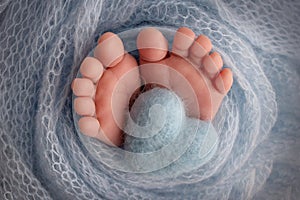 The tiny foot of a newborn baby. Soft feet of a new born in a blue blanket Close up of toes, heels and feet of a newborn