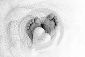 The tiny foot of a newborn baby. Soft feet of a new born. Close up of toes, heels and feet