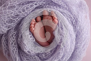 The tiny foot of a newborn baby. Soft feet of a new born in a lilac, purple wool blanket.