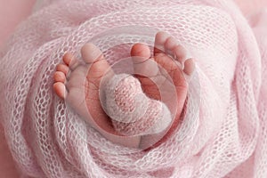 The tiny foot of a newborn baby. Soft feet of a new born in a pink wool blanket.