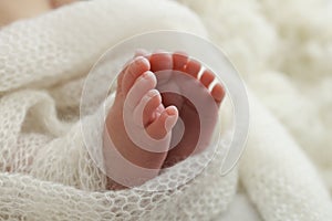 The tiny foot of a newborn baby. Soft feet of a new born in a white wool blanket