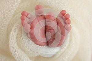 The tiny foot of a newborn baby. Soft feet of a new born in a white wool blanket