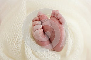 The tiny foot of a newborn baby. Soft feet of a new born in a white wool blanket