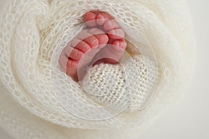 The tiny foot of a newborn baby. Soft feet of a new born in a white wool blanket