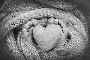 The tiny foot of a newborn baby. Soft feet of a new born in a wool blanket