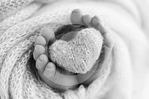 The tiny foot of a newborn baby. Soft feet of a new born in a wool blanket.