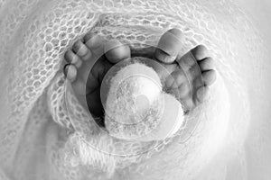 The tiny foot of a newborn baby. Soft feet of a new born in a wool blanket.