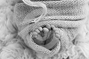 The tiny foot of a newborn baby. Soft feet of a new born in a wool blanket.