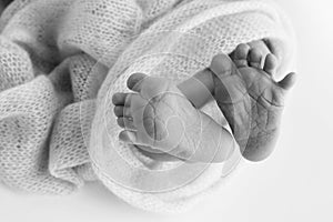 The tiny foot of a newborn baby. Soft feet of a new born in a wool blanket.